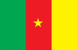 flagge_kamerun